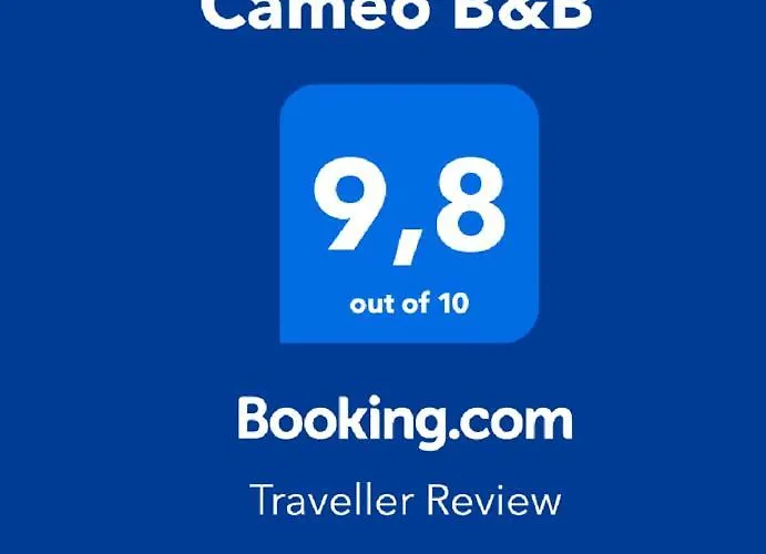Cameo 4*